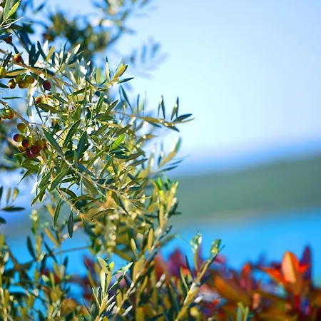 Mare1 With Pool, Sea View And Hydromassage Villa