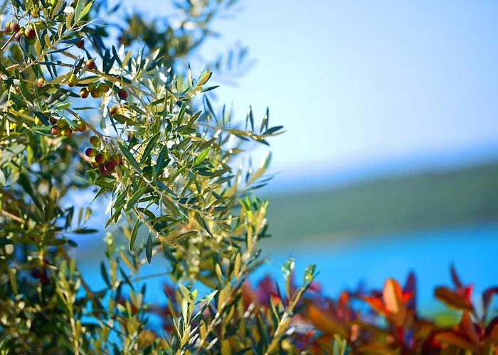 Mare1 With Pool, Sea View And Hydromassage Villa